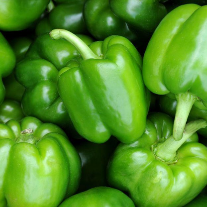 Sweet Pepper -Red Bell Vegetable Seeds