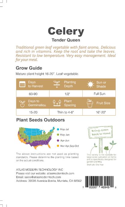 Celery -Tender Queen Vegetable Seeds