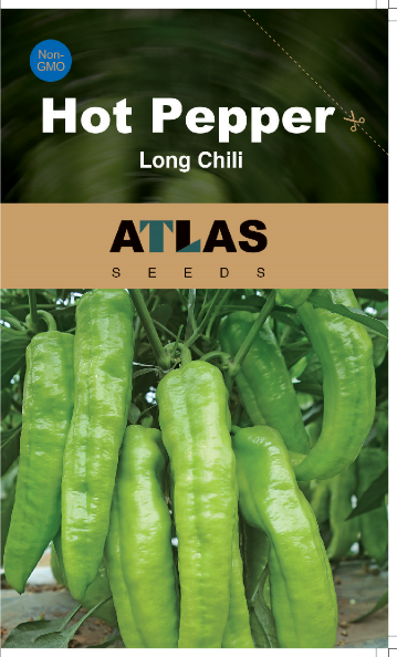 Hot Pepper -Long Chili Vegetable Seeds