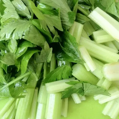 Celery -Tender Queen Vegetable Seeds