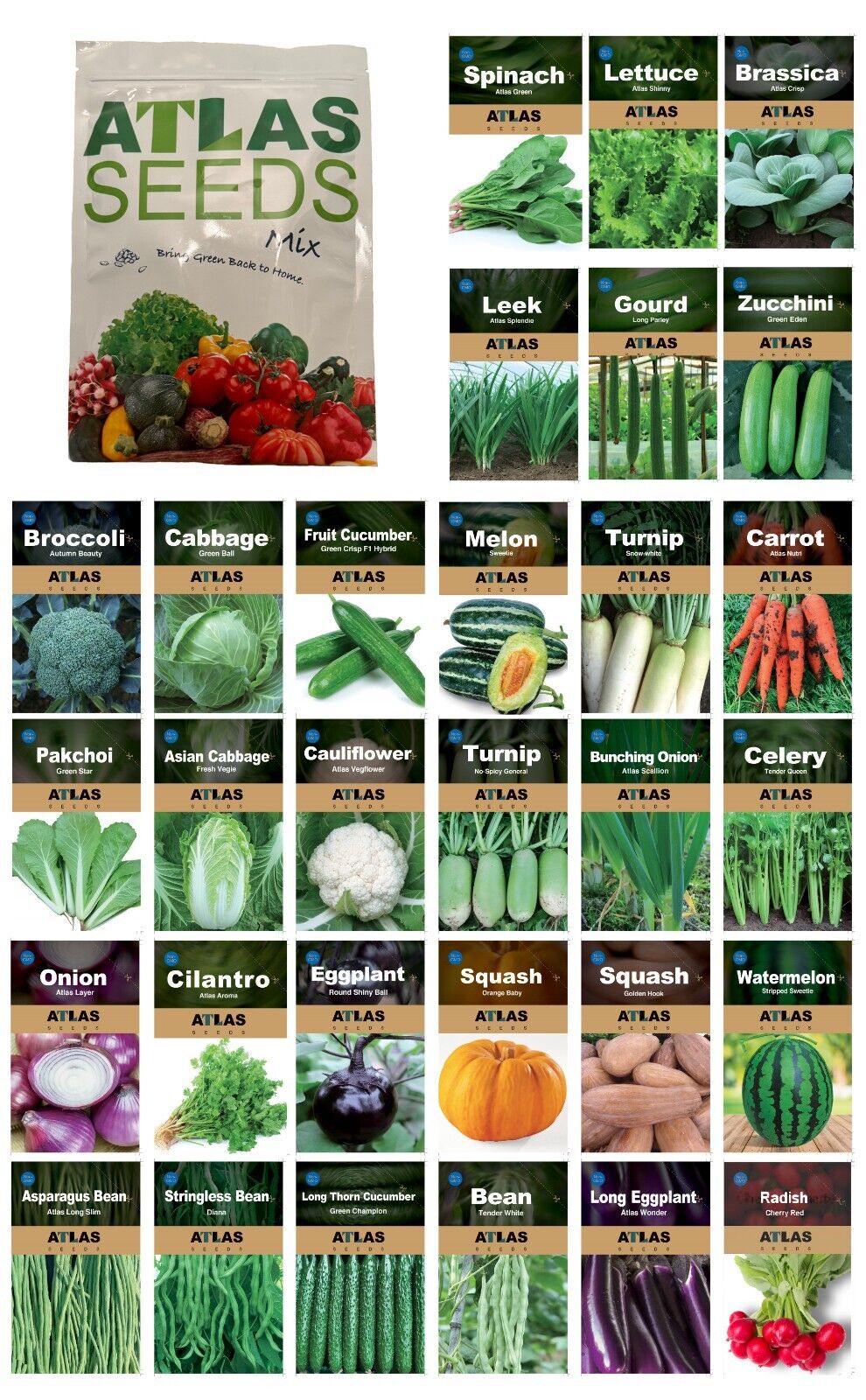 29 Varieties Atlas Vegetable Seeds Survival Garden Kit - Over 50,000 Seeds