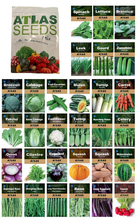 29 Varieties Atlas Vegetable Seeds Survival Garden Kit - Over 50,000 Seeds