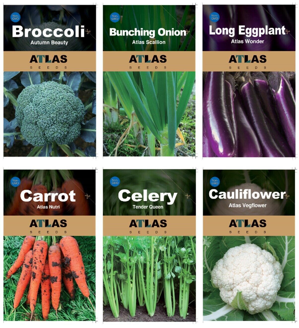 29 Varieties Atlas Vegetable Seeds Survival Garden Kit - Over 50,000 Seeds