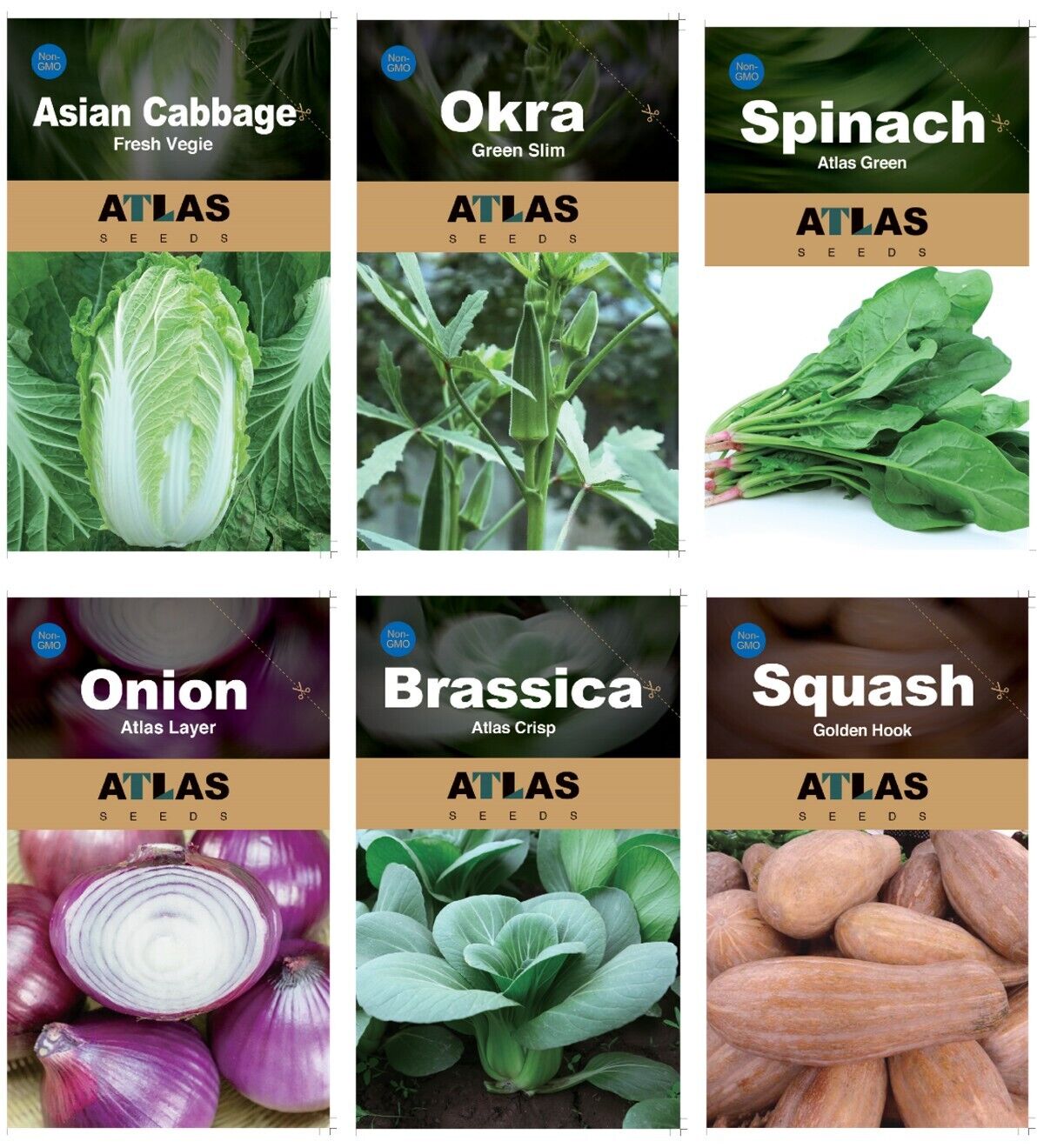 29 Varieties Atlas Vegetable Seeds Survival Garden Kit - Over 50,000 Seeds