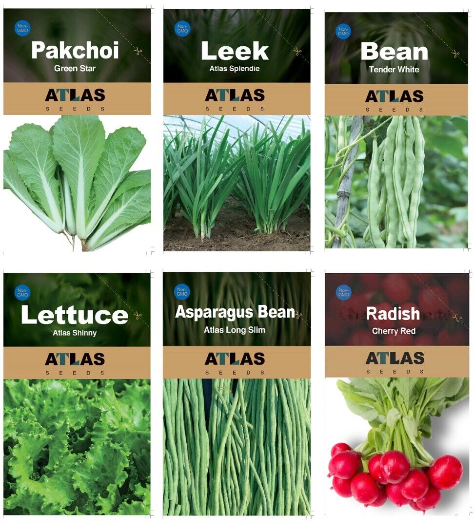 29 Varieties Atlas Vegetable Seeds Survival Garden Kit - Over 50,000 Seeds