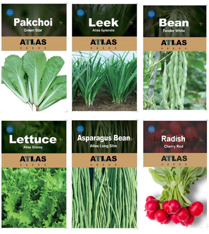 29 Varieties Atlas Vegetable Seeds Survival Garden Kit - Over 50,000 Seeds