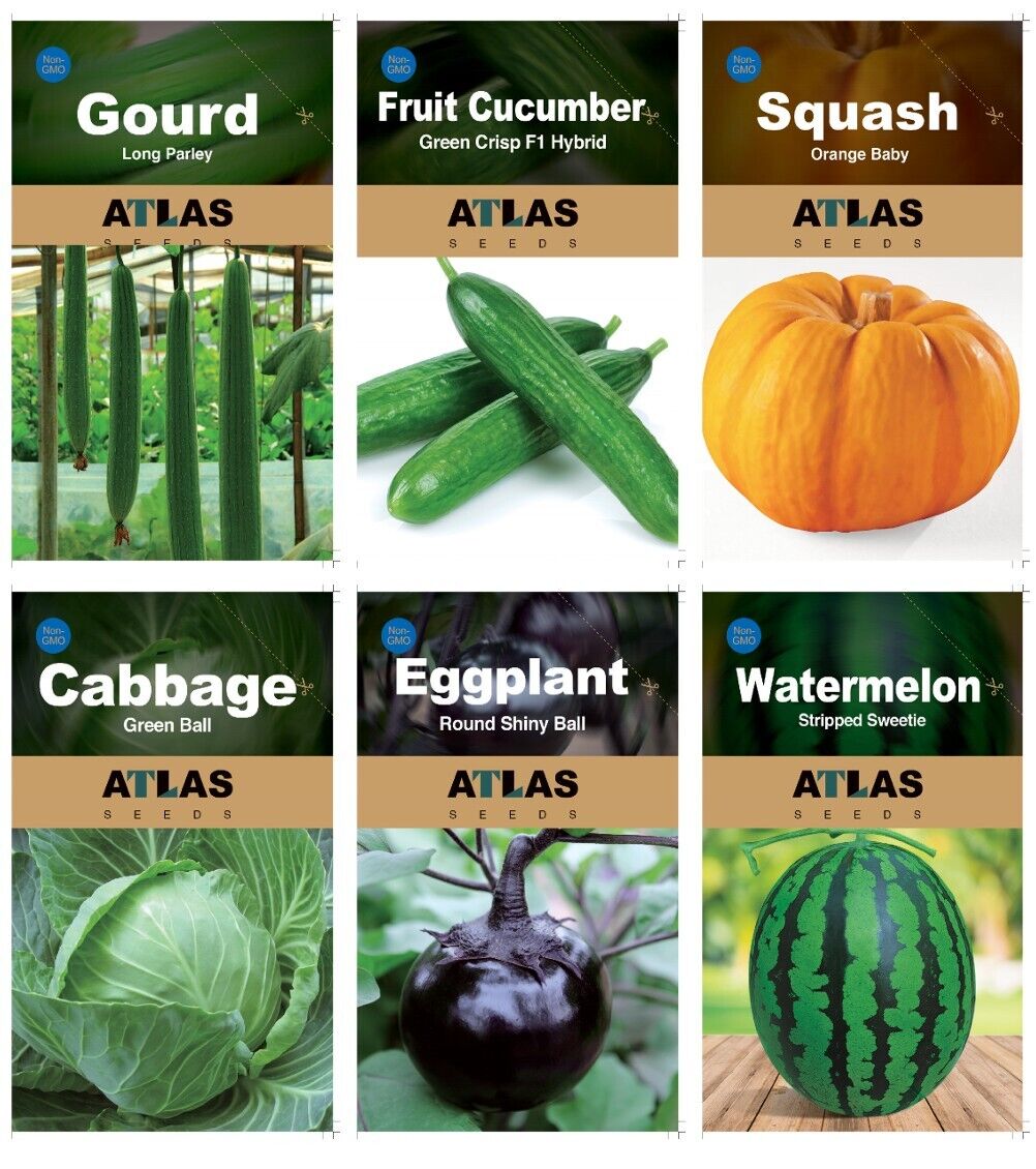 29 Varieties Atlas Vegetable Seeds Survival Garden Kit - Over 50,000 Seeds