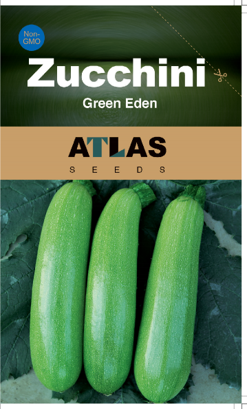 Zucchini -Green Eden