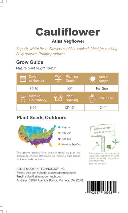 Cauliflower -Atlas Vegflower Vegetable Seeds