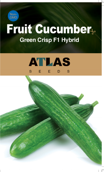 Fruit Cucumber -Green Crisp F1 Hybrid Vegetable Seeds