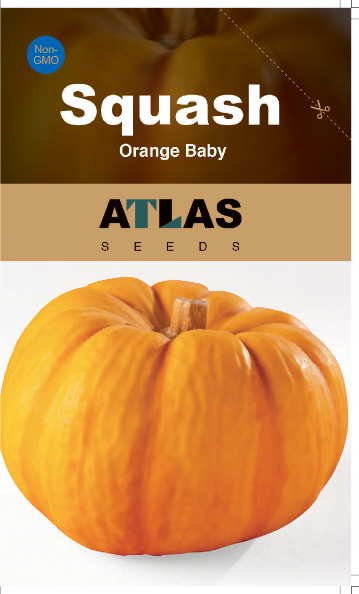 Squash -Orange Baby Vegetable Seeds