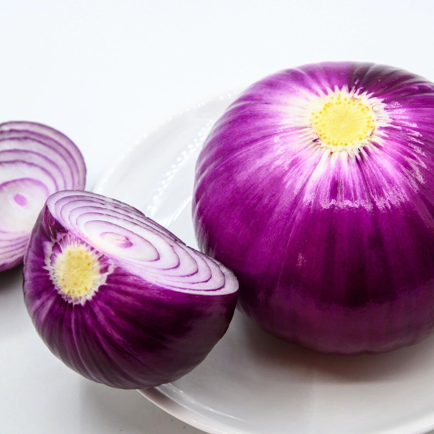 Onion -Atlas Layer Vegetable Seeds