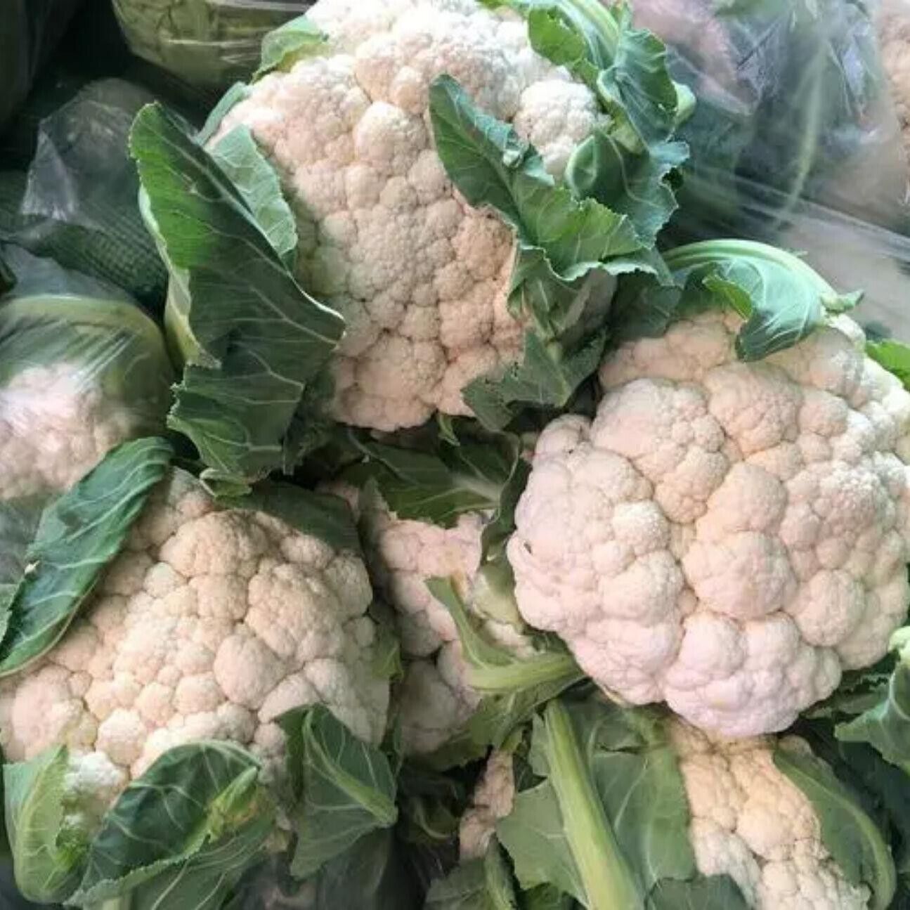 Cauliflower -Atlas Vegflower Vegetable Seeds