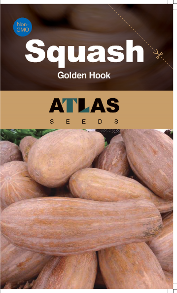 Squash -Golden Hook Vegetable Seeds