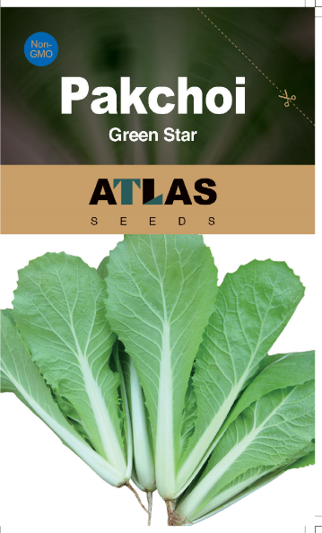 Pakchoi -Green Star Vegetable Seeds