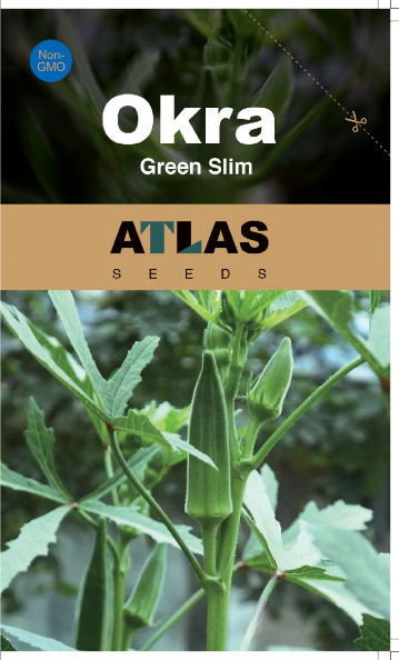 Okra -Green Slim Vegetable Seeds