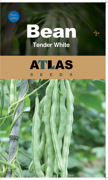 Bean -Tender White Vegetable Seeds