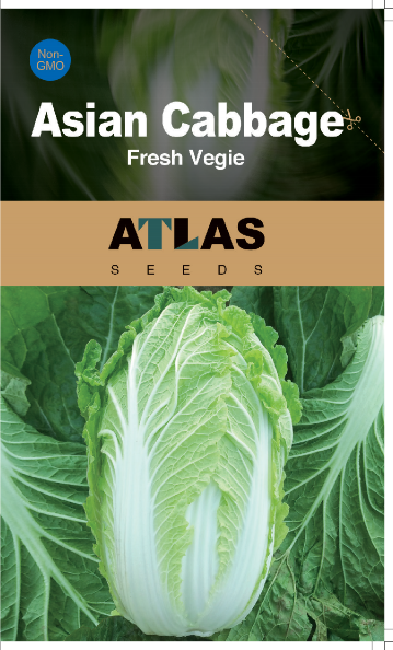 Asian Cabbage -Fresh Vegie Vegetable Seeds over 3000pills