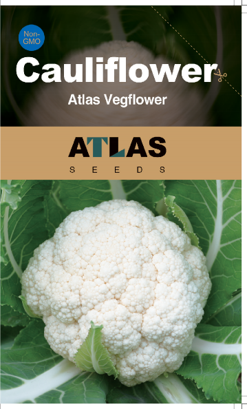 Cauliflower -Atlas Vegflower Vegetable Seeds