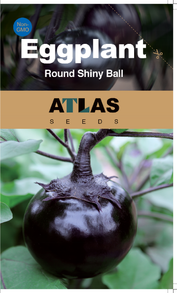 Eggplant -Round Shiny Ball Vegetable Seeds