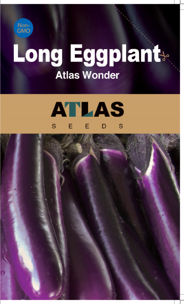 Long Eggplant -Atlas Wonder Vegetable Seeds