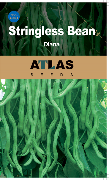 (Cowpea)Stringless Bean -Diana Vegetable Seeds