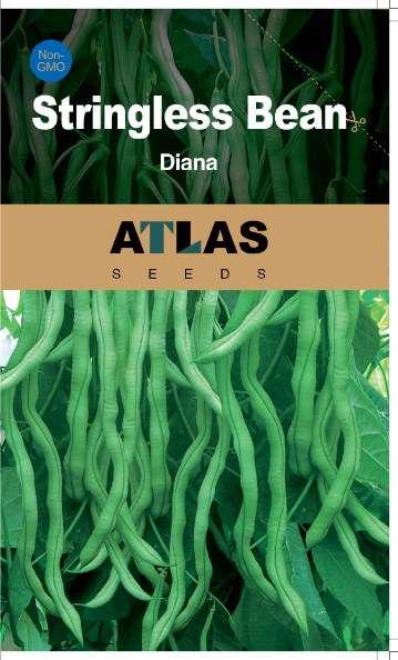 Asparagus Bean -Atlas Long Slim Vegetable Seeds