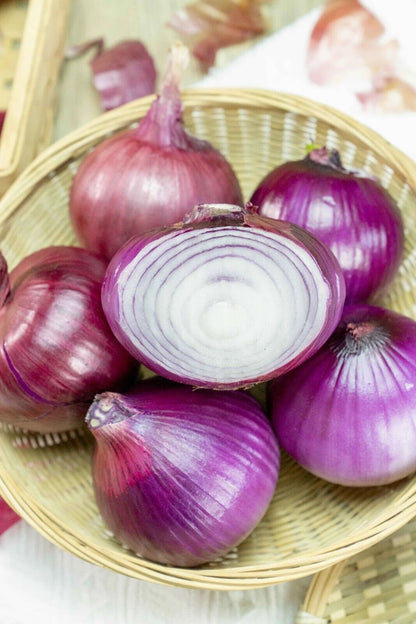 Onion -Atlas Layer Vegetable Seeds