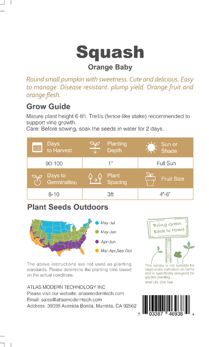 Squash -Orange Baby Vegetable Seeds