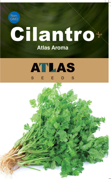 Cilantro -Atlas Aroma Vegetable Seeds