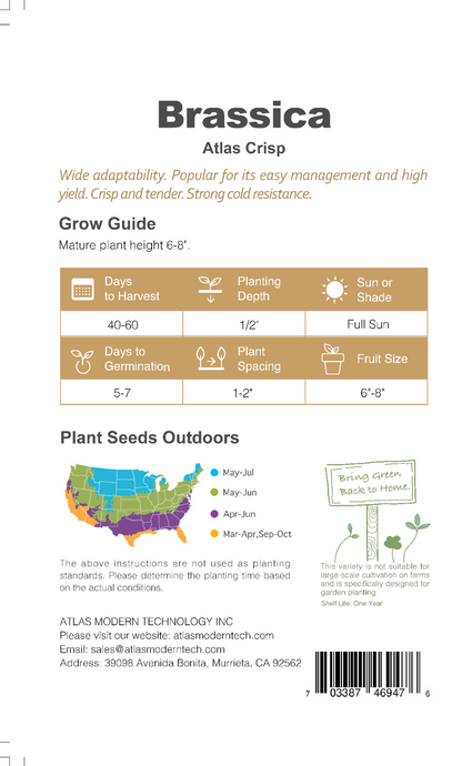 Brassica -Atlas Crisp Vegetable Seeds